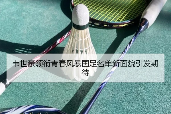 韦世豪领衔青春风暴国足名单新面貌引发期待